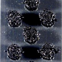 Černá hliníková kartáčová venkovní vstupní rohož FLOMA Alu Super - délka 150 cm, šířka 100 cm, výška 1,7 cm